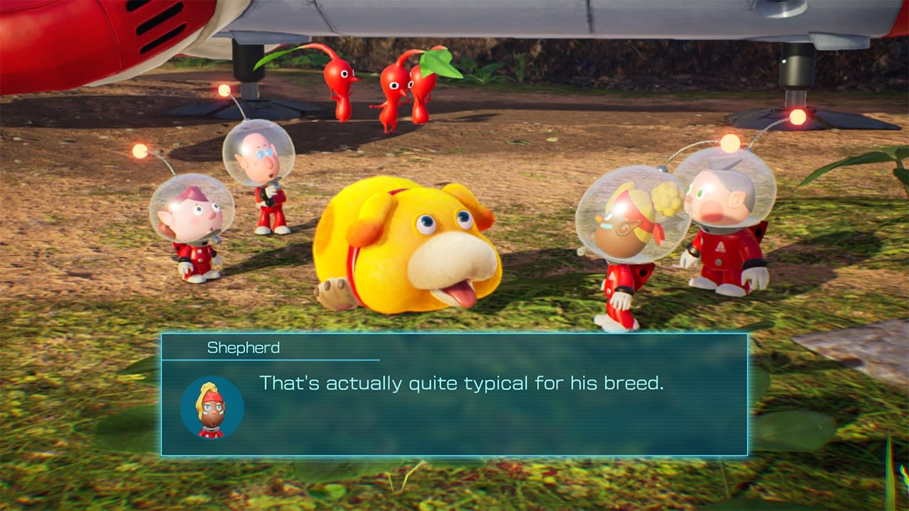 Four Hocotatians surround a strange dog-like creature with no nose. A dialog box from 'Shepherd' reads 'That’s actually quite typical for his breed'